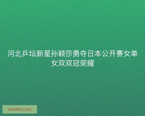 河北乒坛新星孙颖莎勇夺日本公开赛女单女双双冠荣耀